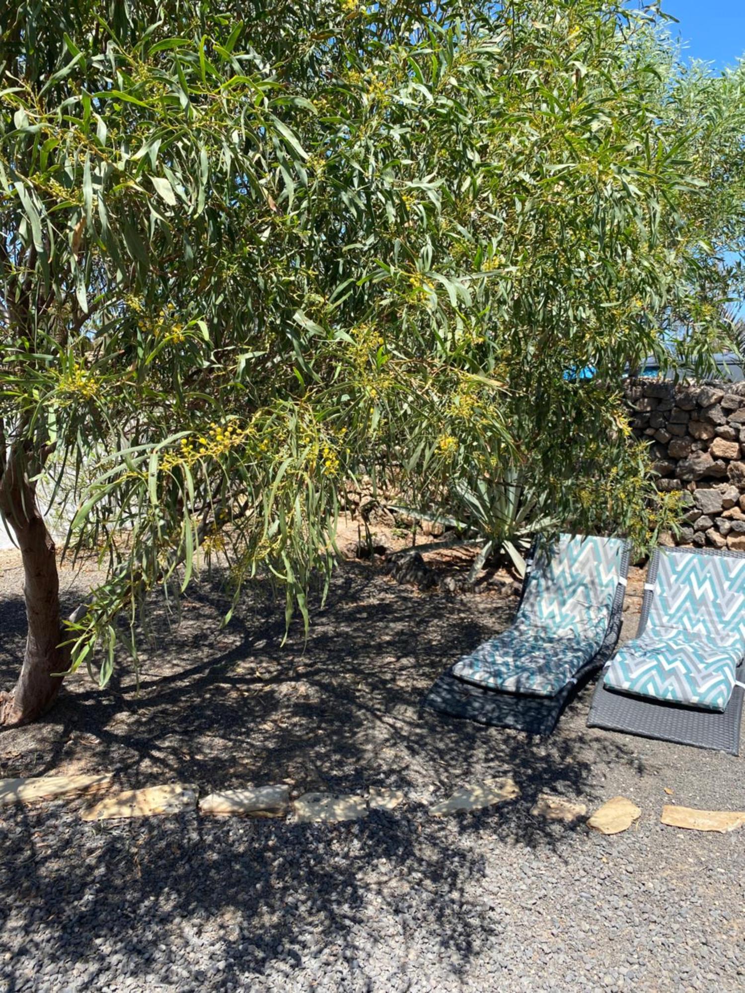 הוילה Orange House, Surf&Yoga לאחארס מראה חיצוני תמונה